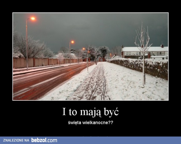 I to mają być