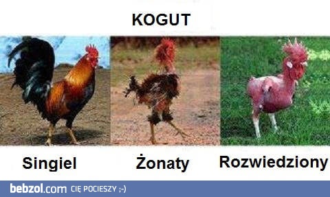Metafora życia