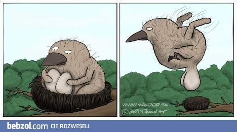 Bez jajek się nie ruszam