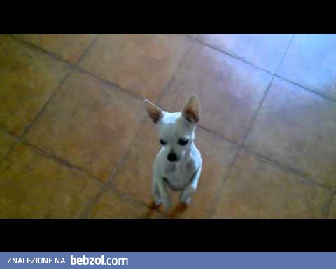 Karrrramba! Te ruchy