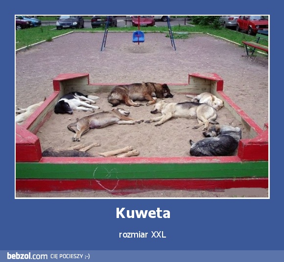 Kuweta