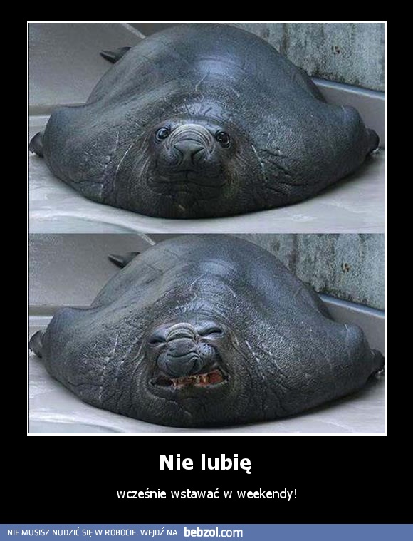 Nie lubię 