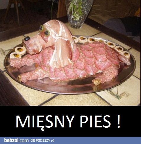 Nowy pomysł - mięsny pies