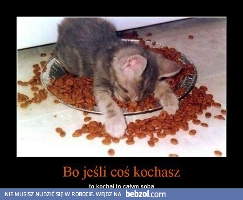 Jeśli coś kochasz...