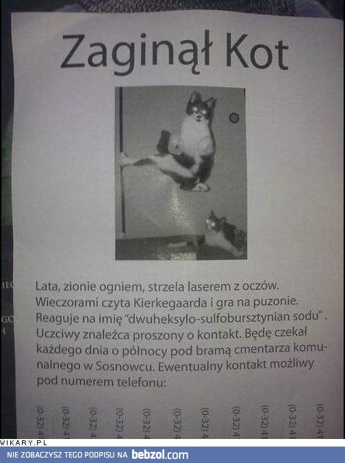 Ktokolwiek widział, ktokolwiek wie