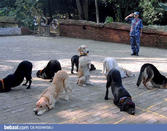 Zabawa w słoneczko?