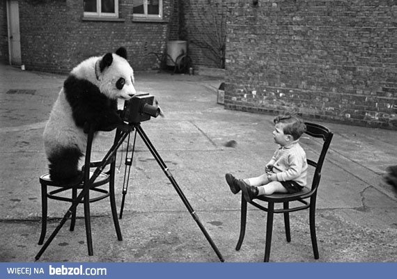 W krzywym zwierciadle