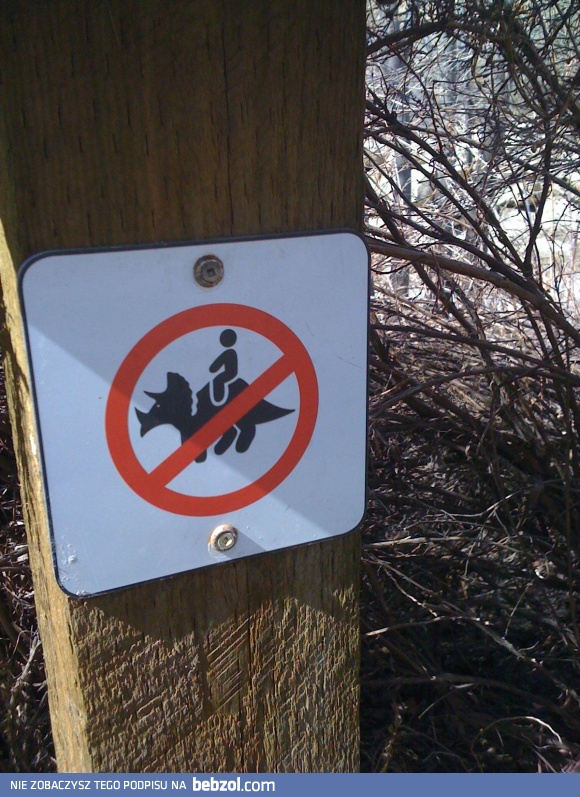 To co najlepsze jest zawsze zakazywane...