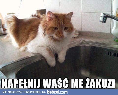 Wiadomo kot tu rządzi