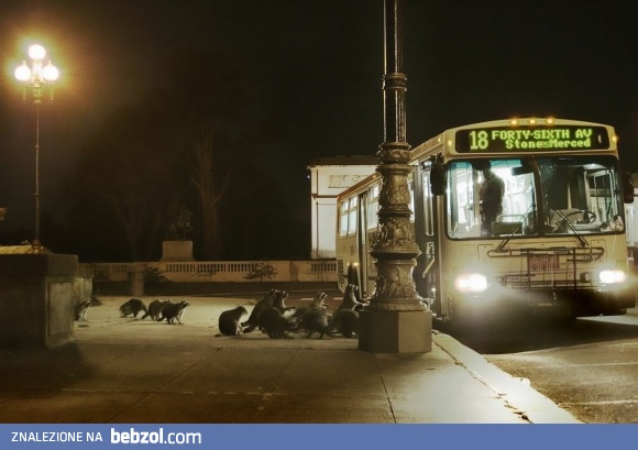 Ktoś wie po ile bilet?