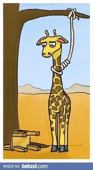 Niedoszły samobójca