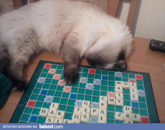 Obudź mnie jak wymyślisz to słowo