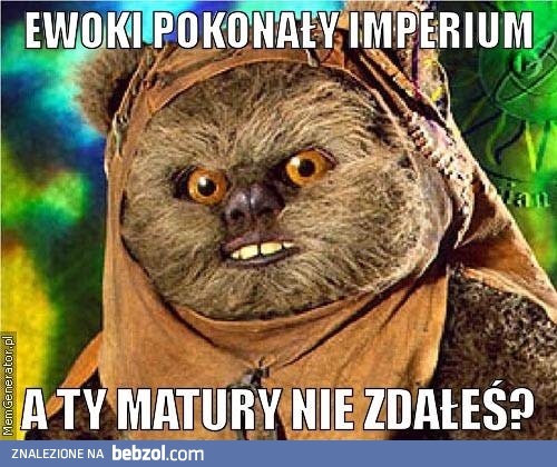 Wstydź się, maturzysto!