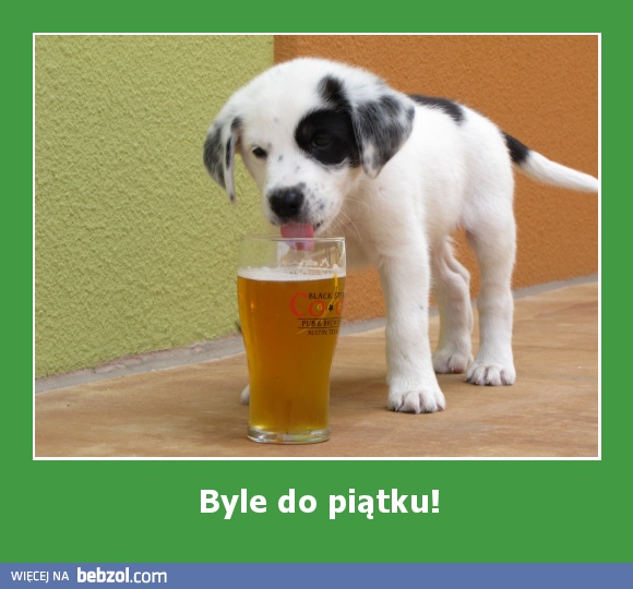 Byle do piątku!