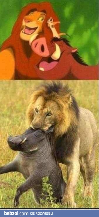 Jak wygląda rzeczywistość