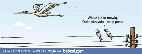 Wiesz jak to mówią!