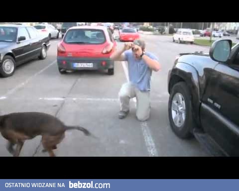 To dopiero szczęśliwa psina