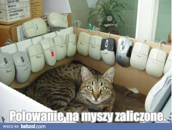 Polowanie zaliczone
