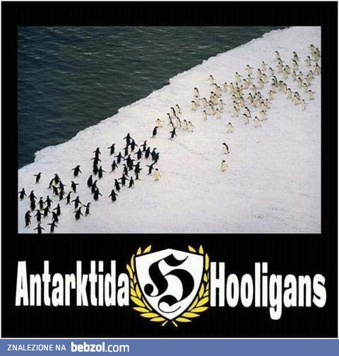 Ustawka pseudokibiców