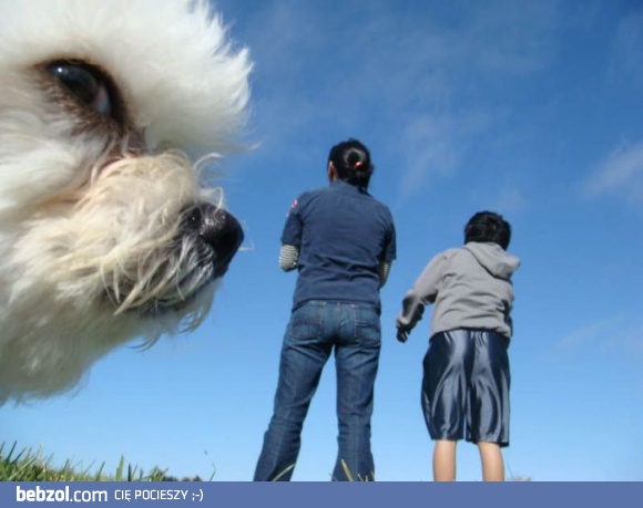 Ta dwójka to moi właściciele
