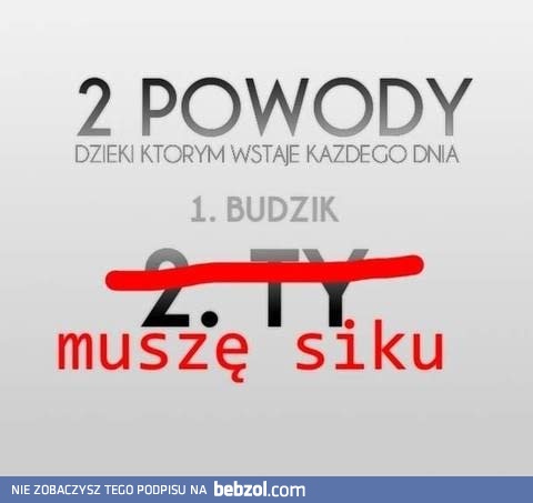 Powody dla których wstaję rano