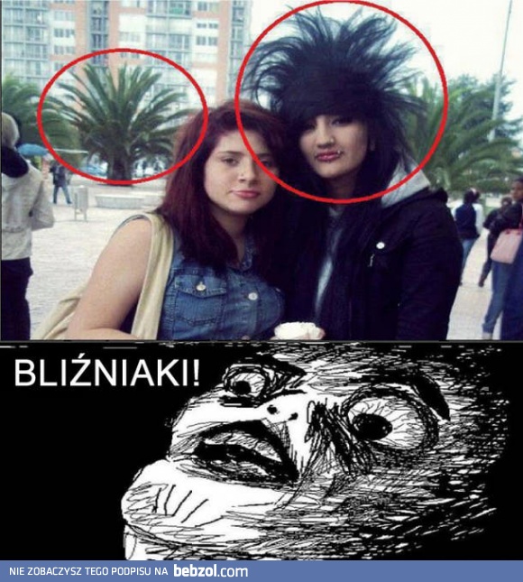 Wyglądają podobnie