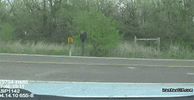 Zakupy po amerykańsku