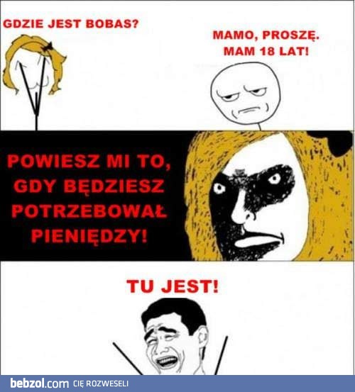 Gdzie jest bobas?!