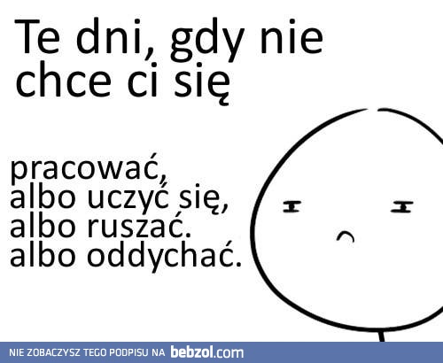 Są takie dni...