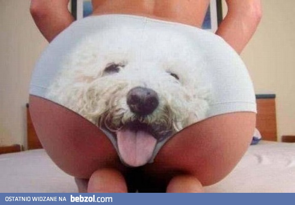 Oby nie merdał ogonkiem...