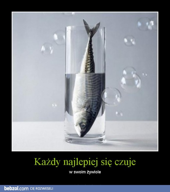 Każdy najlepiej się czuje