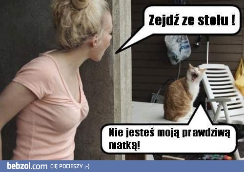 Sprzeczka domowników