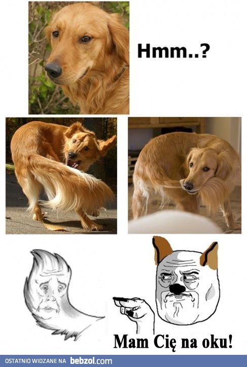 I nigdzie mi się stąd nie ruszaj!