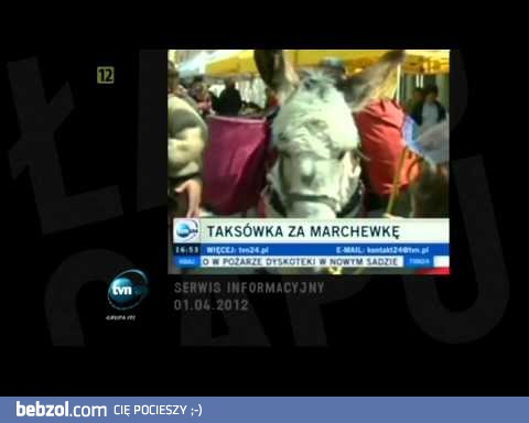 Prima Aprilis w Łapu Capu