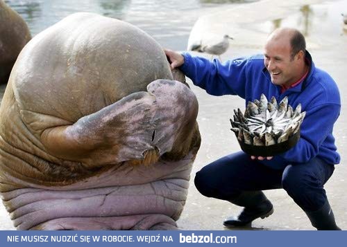 Każdy zasługuje na świąteczny prezencik