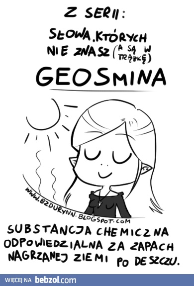 Słowa których nie znasz