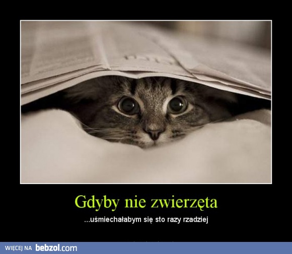 Gdyby nie zwierzęta