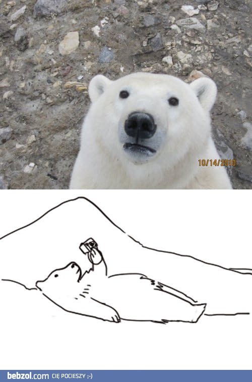 Misiek też chce być sławny