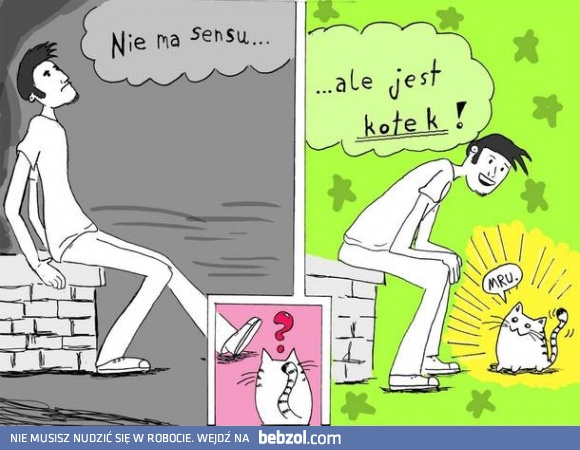 Dobry kotek zawsze poprawia humor