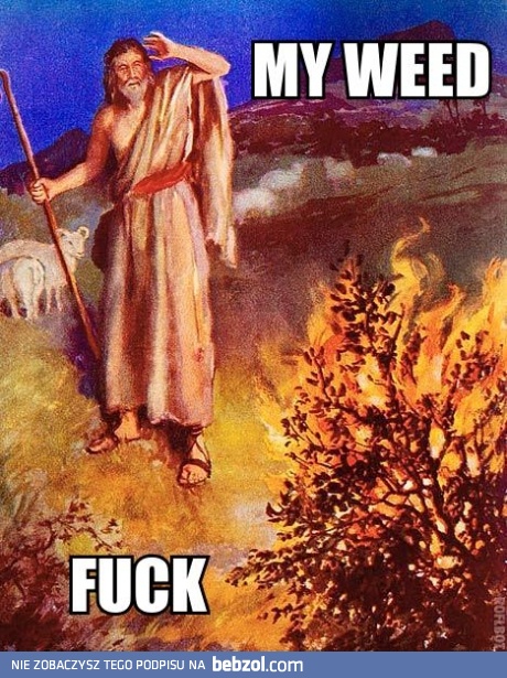 Każdy orze jak może