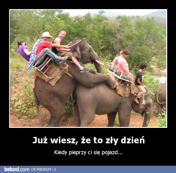 Już wiesz, że to zły dzień