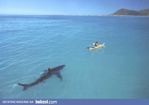 Takie tam, na kajaku