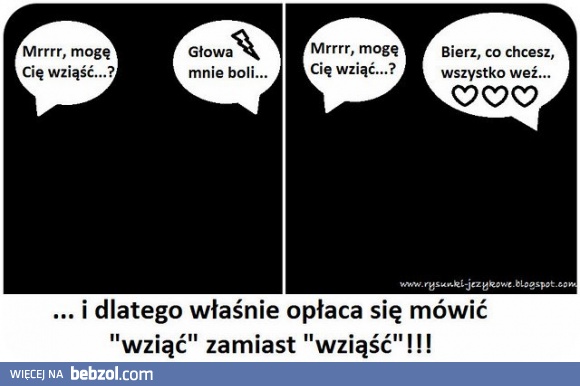 Poprawna polszczyzna najważniejsza