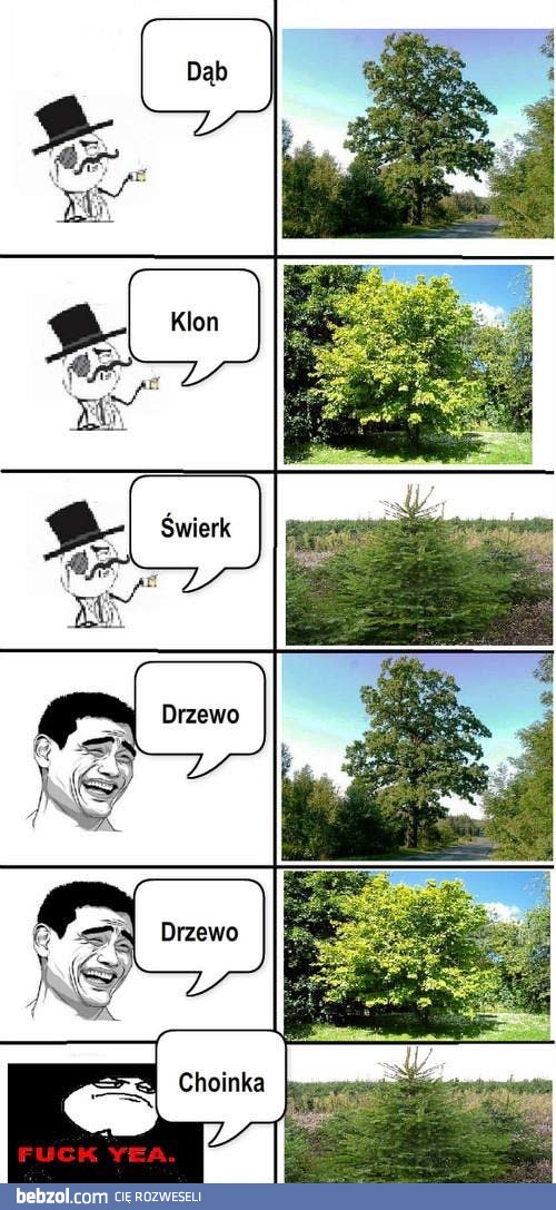 Rozpoznawanie gatunków drzew