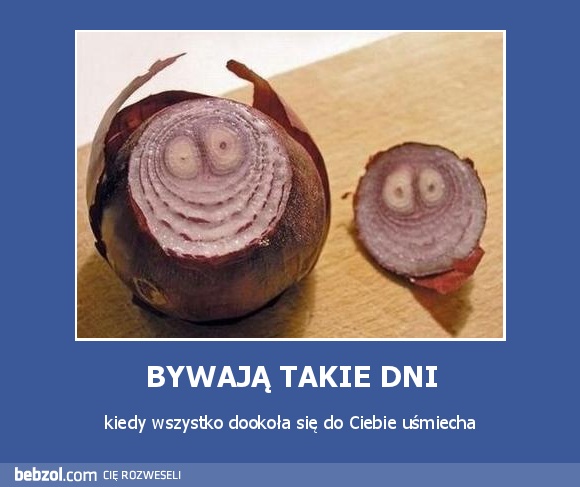 BYWAJĄ TAKIE DNI