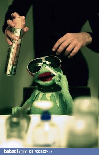Kermit gwiazdorzy
