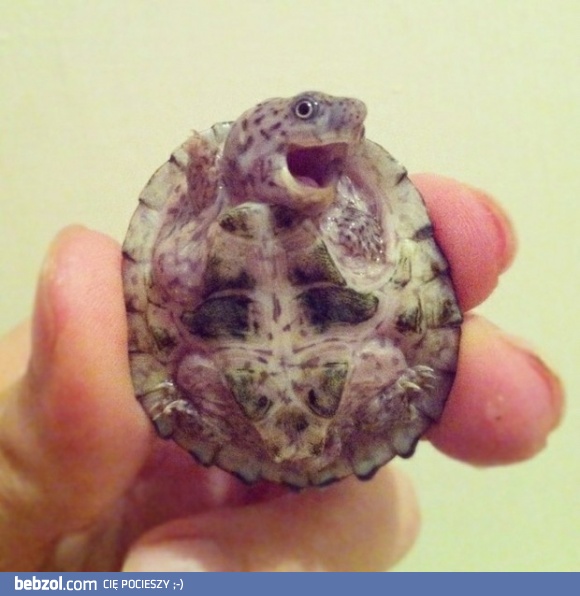 Do zobaczenia jutro!