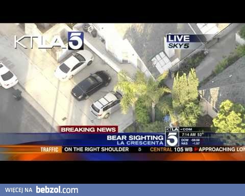 Kiedy piszesz SMSy idąc...