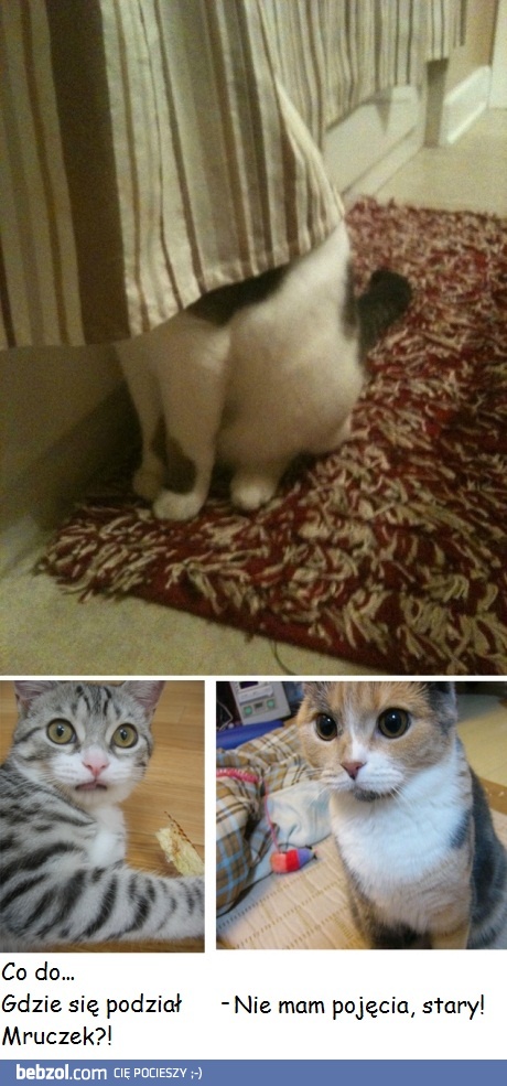 Niewidzialny drapieżnik