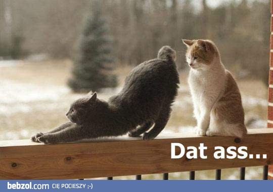 Faceci tylko o jednym